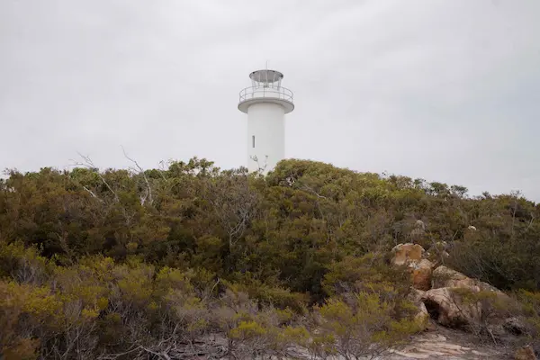 Lighthouse and bush